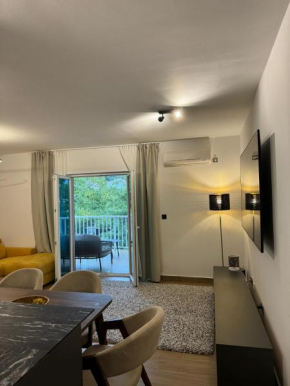 Maxim apartment